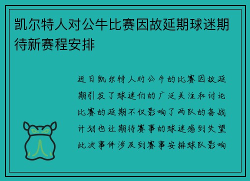 凯尔特人对公牛比赛因故延期球迷期待新赛程安排