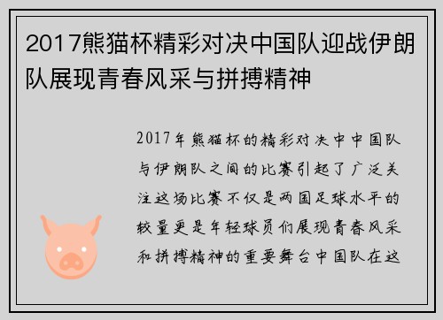2017熊猫杯精彩对决中国队迎战伊朗队展现青春风采与拼搏精神